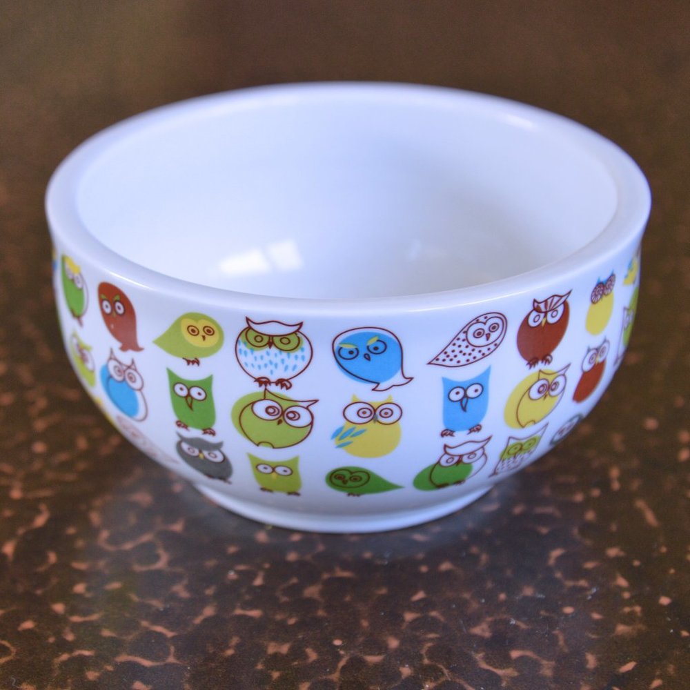4/$20 Gracie Whimsical Owl Themed Ceramic Cereal Bowl
